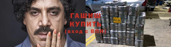 прущие грибы Осинники