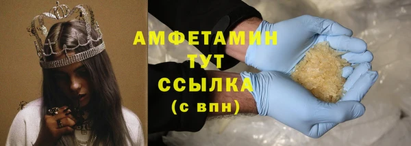 прущие грибы Осинники