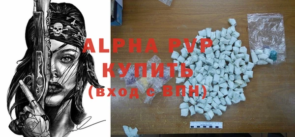 прущие грибы Осинники