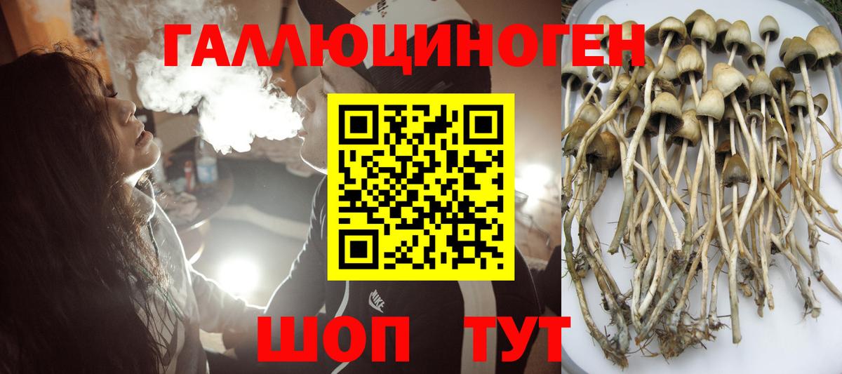 Рославль  Псилоцибиновые грибы мицелий  продажа наркотиков  Галлюциногенные грибы Psilocybine cubensis  Вход с VPN 